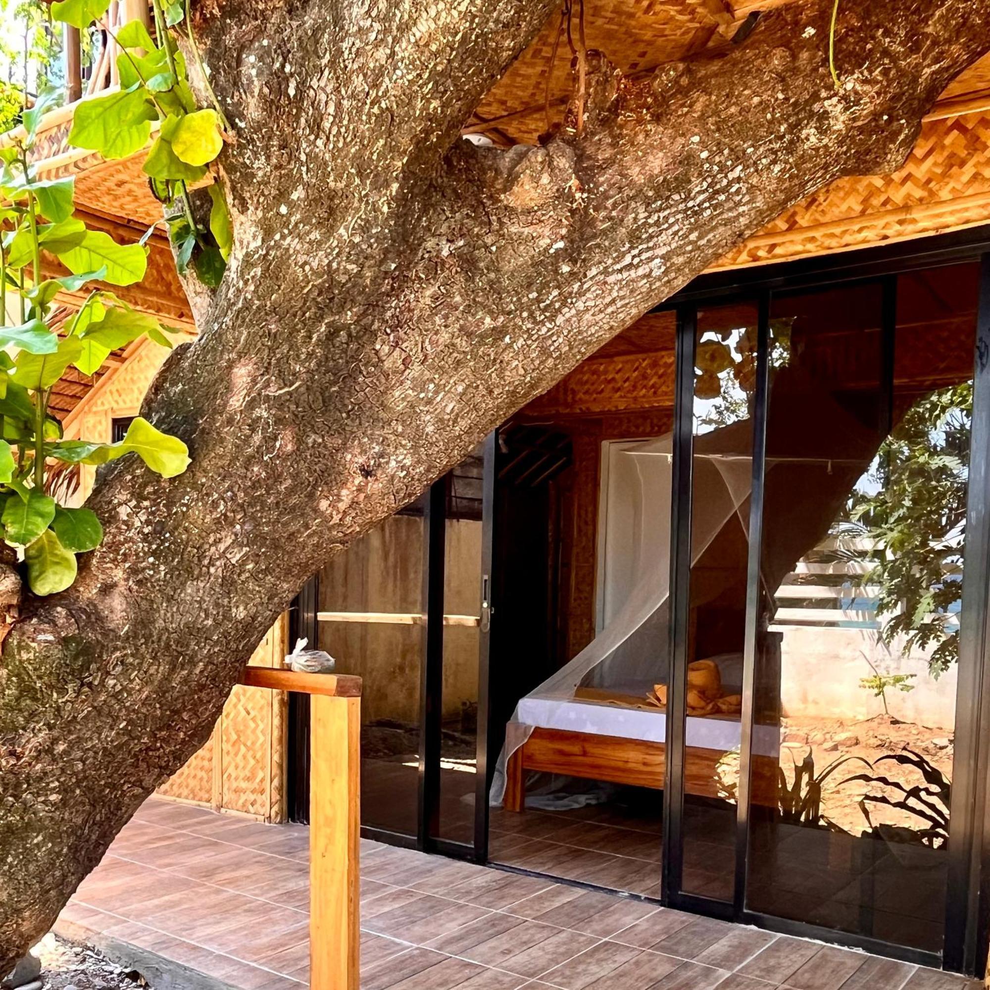 Amami Beachfront Villa With Private Beach Puerto Galera Exterior foto
